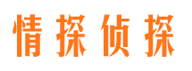 石屏捉小三公司